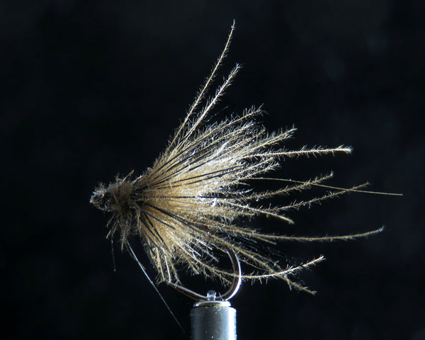 Quill BWO