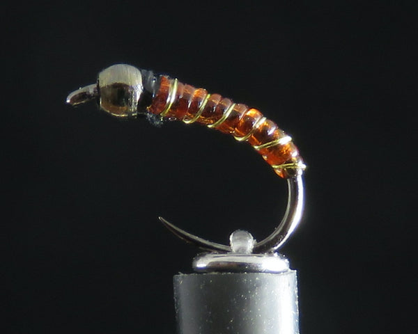 Micro Chiro Larva