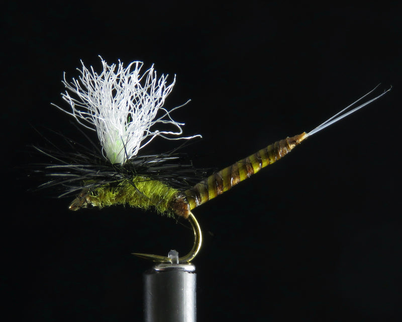 May Fly Ext. Quill Body olive