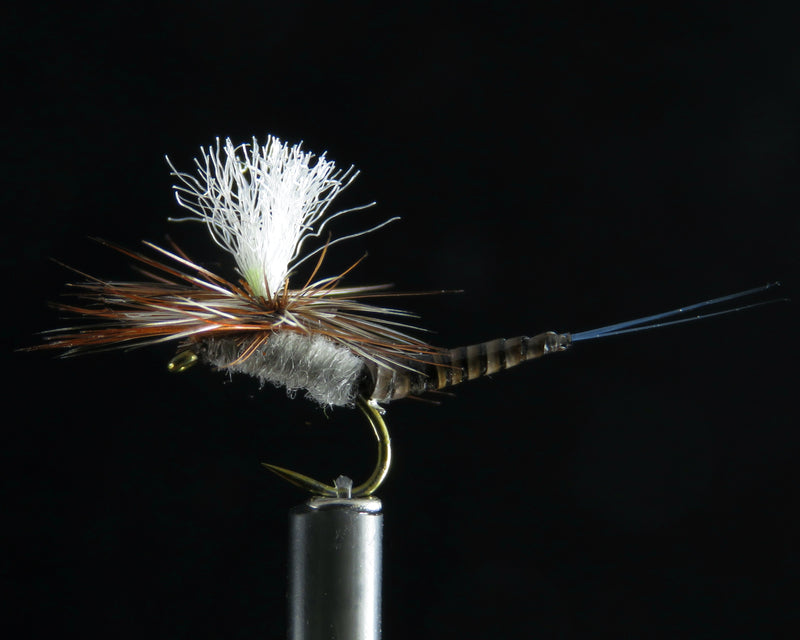 May Fly Ext. Quill Body blue dun