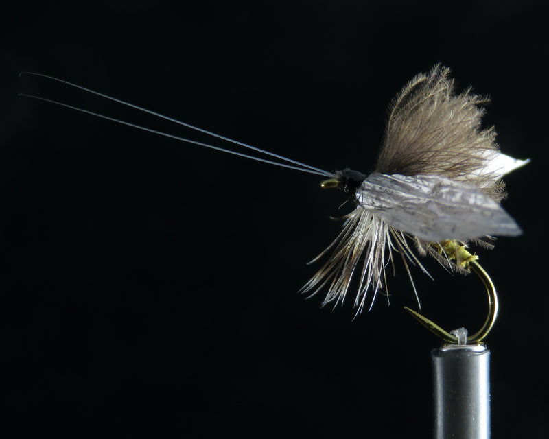 Wounded Adult Caddis olive