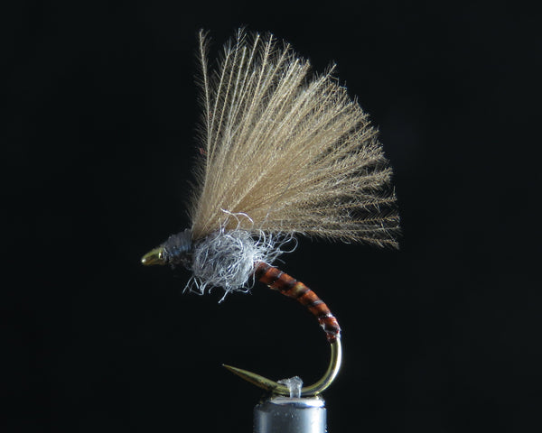 Cdc Emerger Quill olive