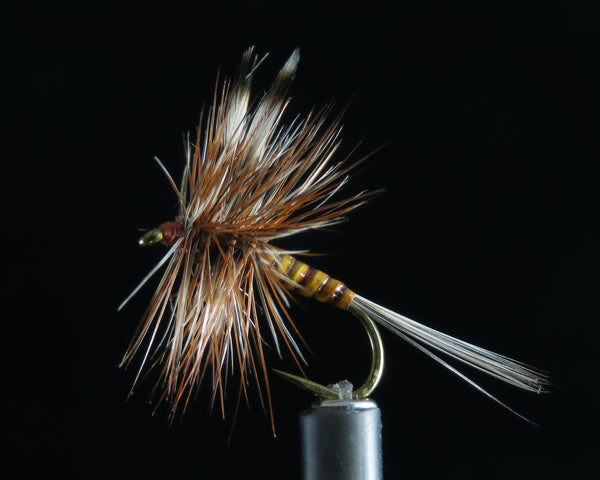 Adams Quill ginger