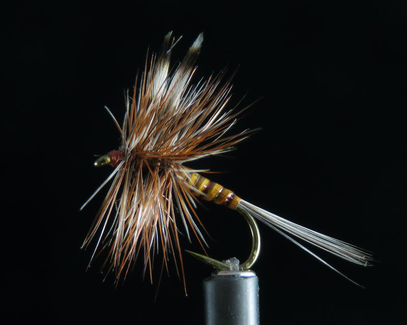 Adams Quill ginger