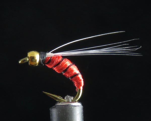 Nymph red